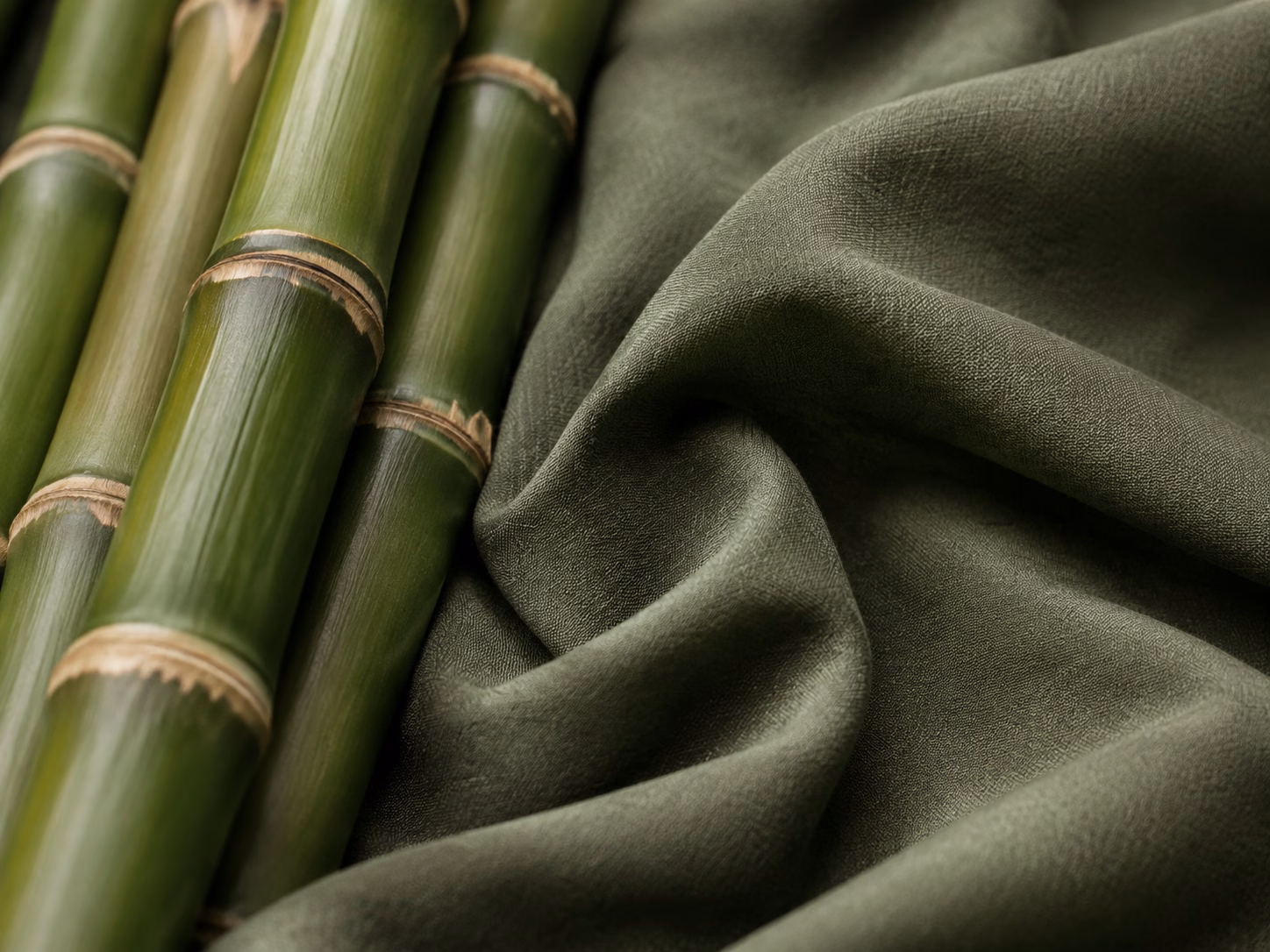 Bamboo plant and its woven fabric
