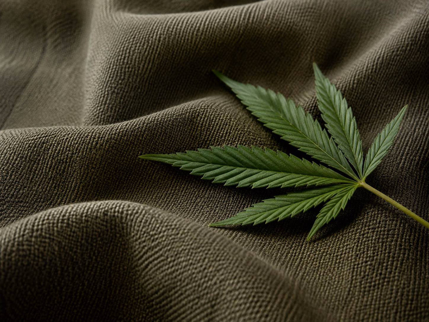 Hemp plant and its woven fabric
