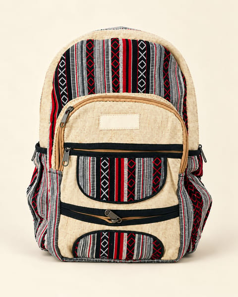 Striped front zip backpack in multicolor, front view